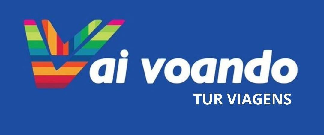 vai voando.image
